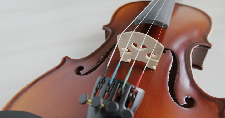 Violin String and Bridge Close up